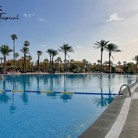 Oasi Tropical Wifi Free By Rentalfue Corralejo Eksteriør billede