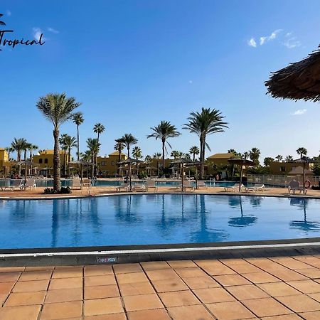 Oasi Tropical Wifi Free By Rentalfue Corralejo Eksteriør billede