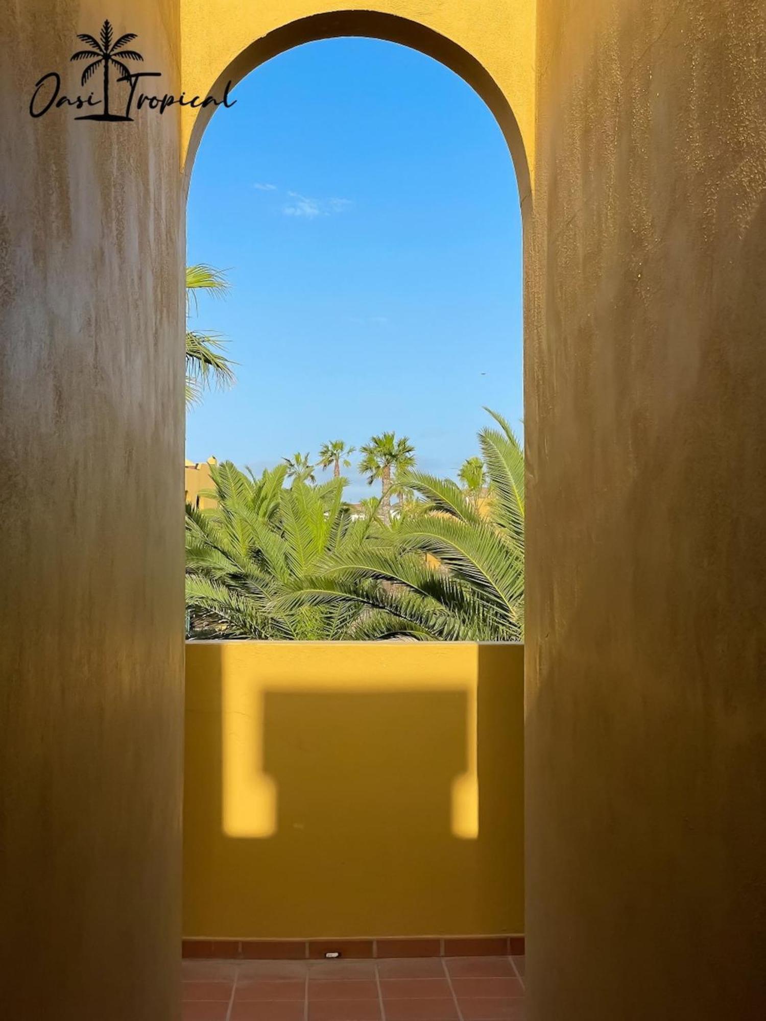 Oasi Tropical Wifi Free By Rentalfue Corralejo Eksteriør billede