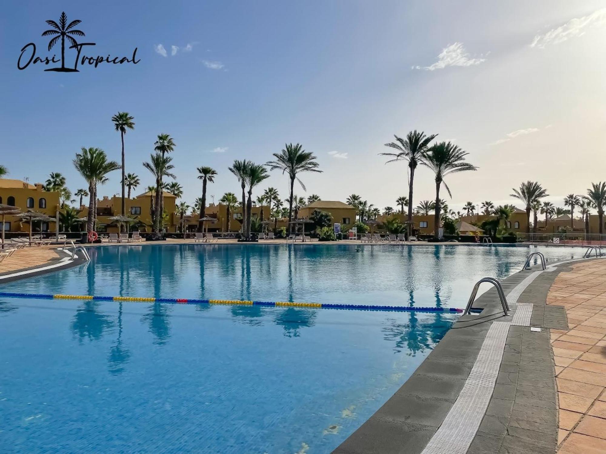 Oasi Tropical Wifi Free By Rentalfue Corralejo Eksteriør billede
