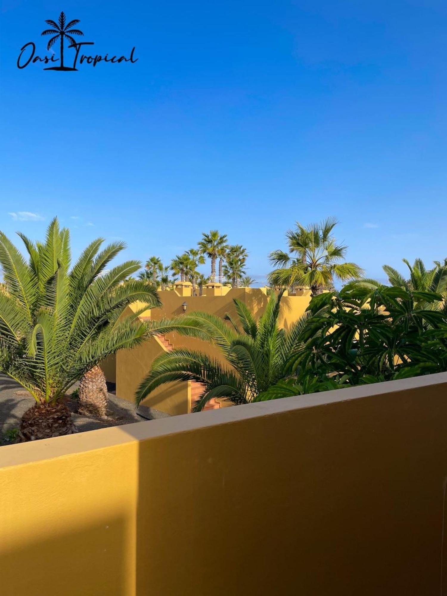 Oasi Tropical Wifi Free By Rentalfue Corralejo Eksteriør billede