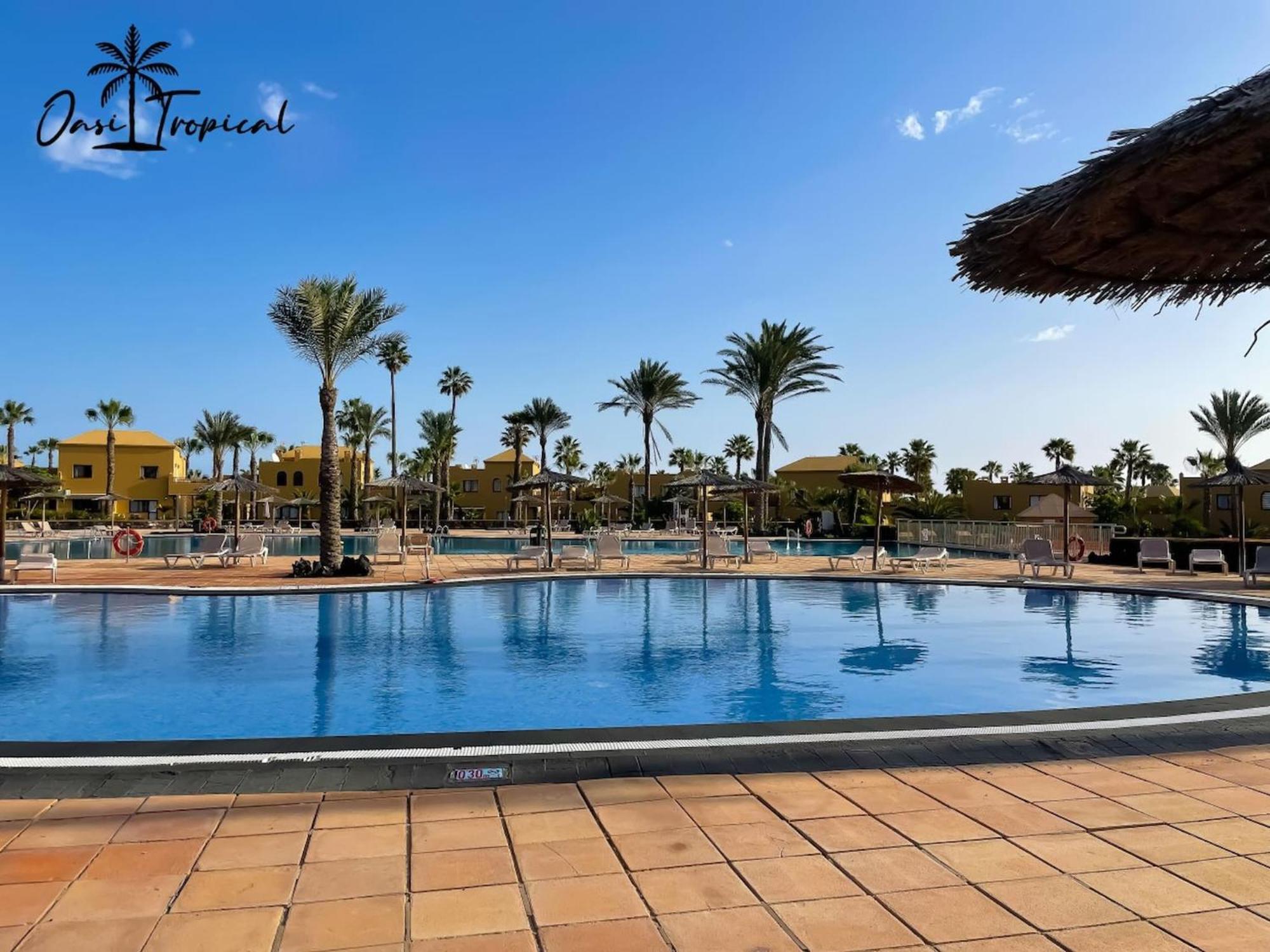 Oasi Tropical Wifi Free By Rentalfue Corralejo Eksteriør billede
