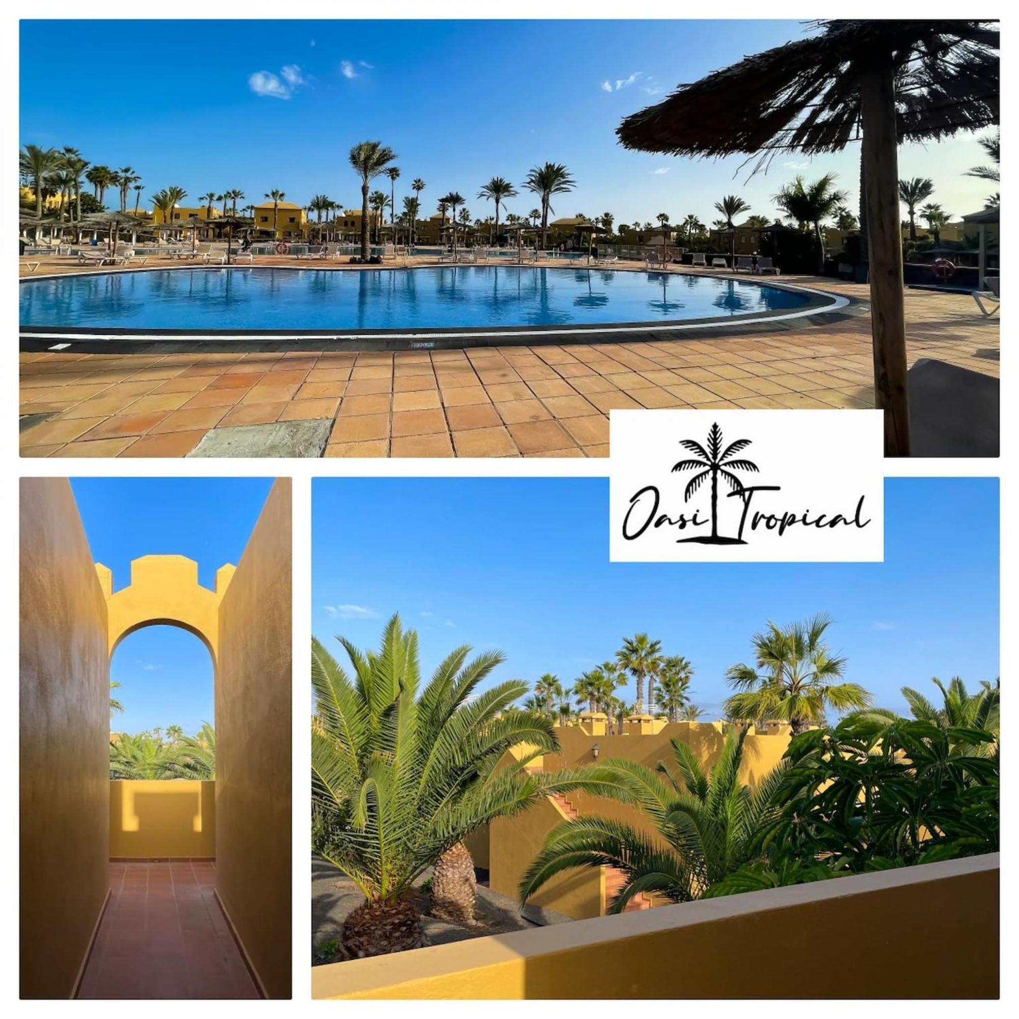 Oasi Tropical Wifi Free By Rentalfue Corralejo Eksteriør billede
